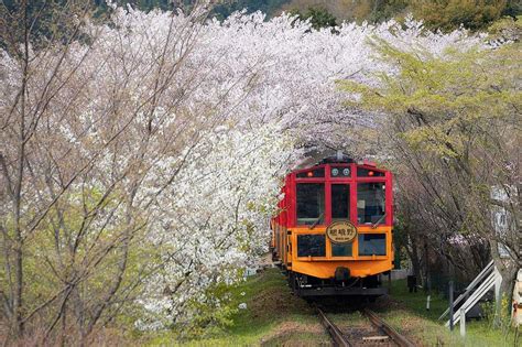 Sagano Scenic Railway, Kyoto, Japan | Sagano Scenic Railway photos and ...