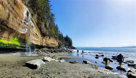 10 Top-Rated Hiking Trails on Vancouver Island, BC – Healthy Food Near Me