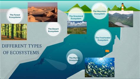 4 Types Of Ecosystems