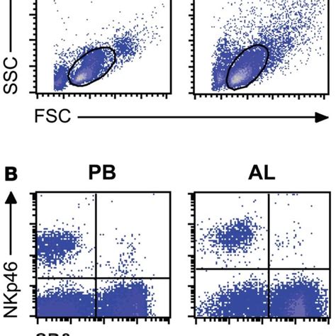 Phenotype of NK cells ex vivo. NK cell expression of the surface ...