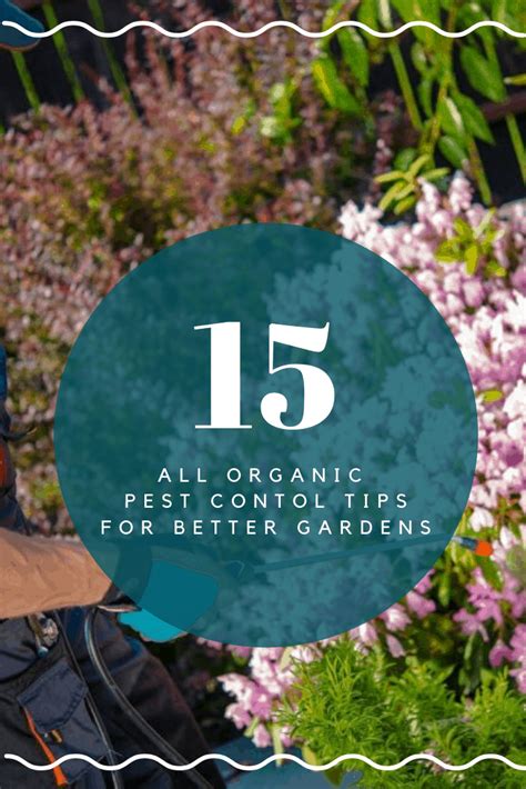 The Best Organic Pest Control Methods For Your Garden