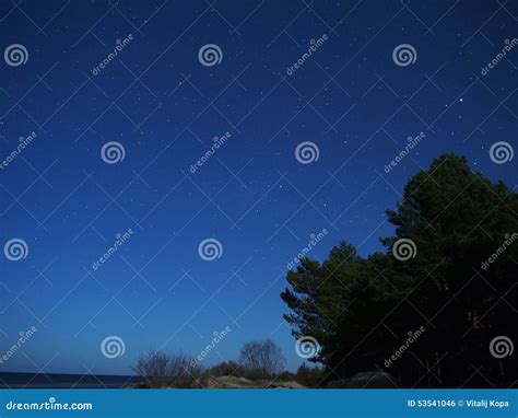 Night sky stars over sea stock photo. Image of sandy - 53541046