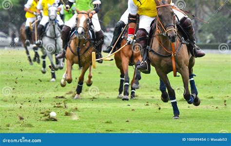 Horse Polo Player Playing stock photo. Image of player - 100099454