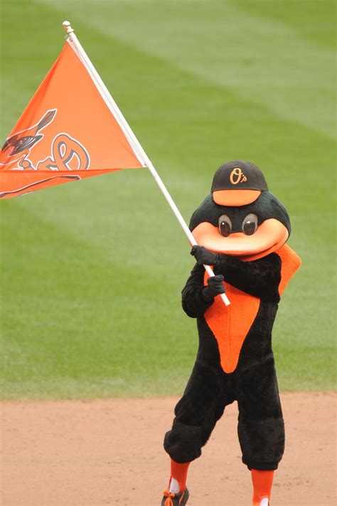 Baltimore Orioles mascot celebrates a win after a baseball game against ...