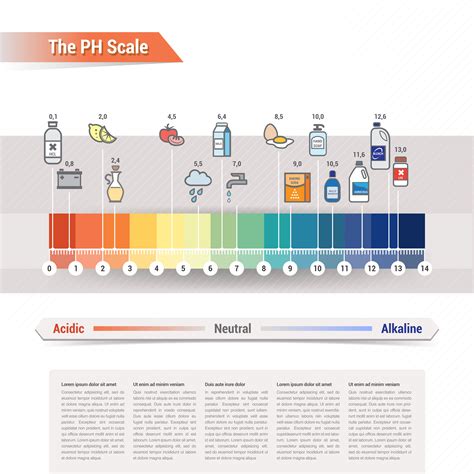 The PH scale – Kitchen Chemistry