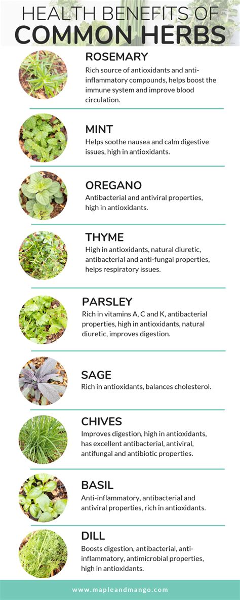 Learn all about growing your own herbs and the health benefits of fresh ...