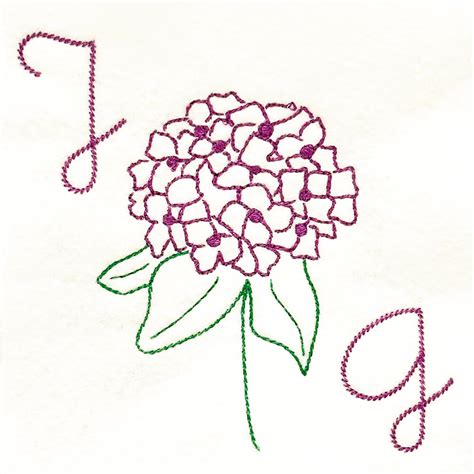 Hydrangea sketch embroidery design - Machine Embroidery Geek