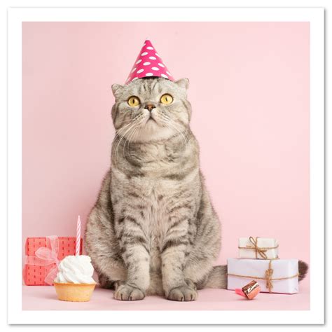 Happy Birthday Cat Card Printable