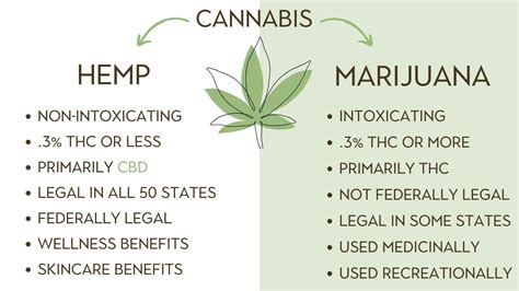 Hemp vs Marijuana | Leanna Organics