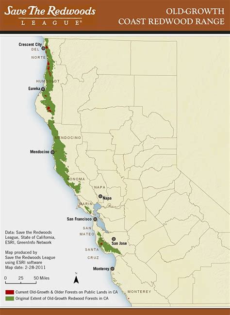 Coast Redwoods | Save the Redwoods League