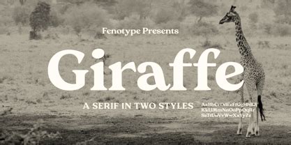 Giraffe Font | Webfont & Desktop | MyFonts