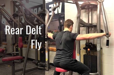 3 Rear Delt Fly Variations for 3D Shoulders! - Bodybuilding Meal Plan