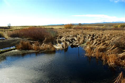 Cherry Creek State park | State parks, Colorado, Aurora co