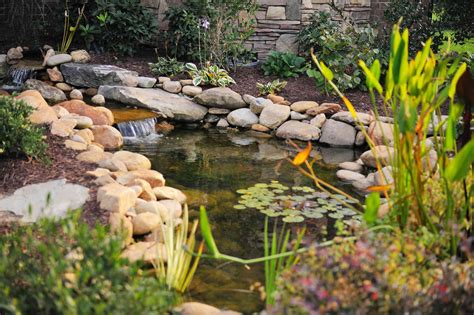 24 Stunning Koi Pond Design Ideas