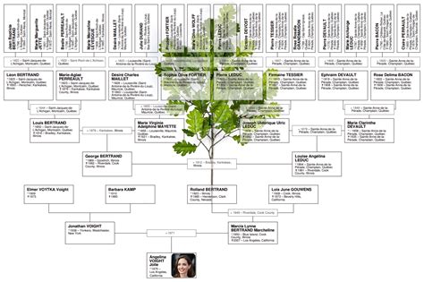 Ancestry of Angelina Jolie and her French-Canadian ancestors