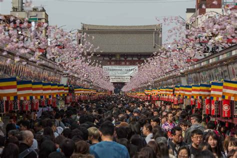 Tokyo Travel: Asakusa Area Guide | japanistry.com