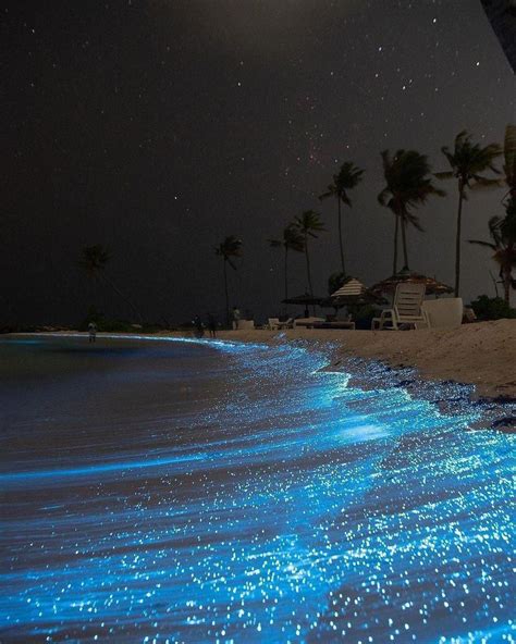 Bioluminescence in Maldives 💙... - Architecture & Design