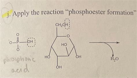 Solved i. Apply the reaction "phosphoester formation" | Chegg.com