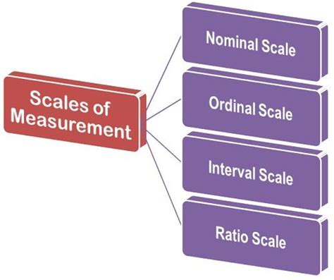 What are the Scales of Measurement? - Business Jargons