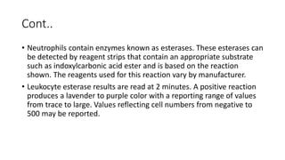 Urine leukocyte.pptx