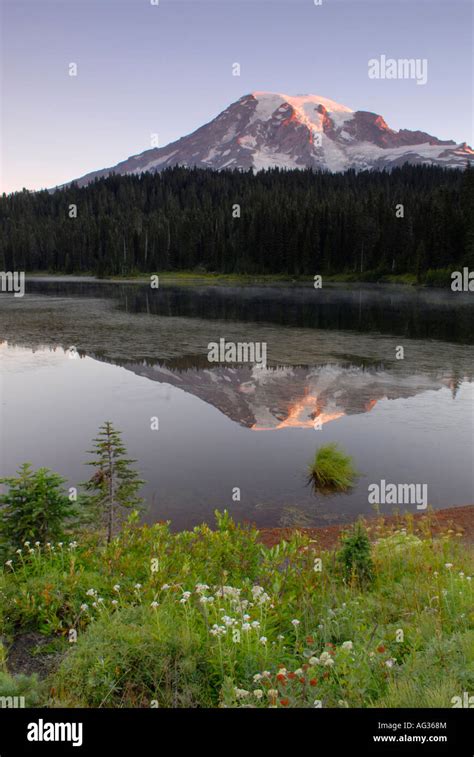 Sunrise at Reflection Lake on Mount Rainier Stock Photo - Alamy