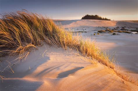 Oregon Dunes National Recreation Area - Alan Majchrowicz Photography