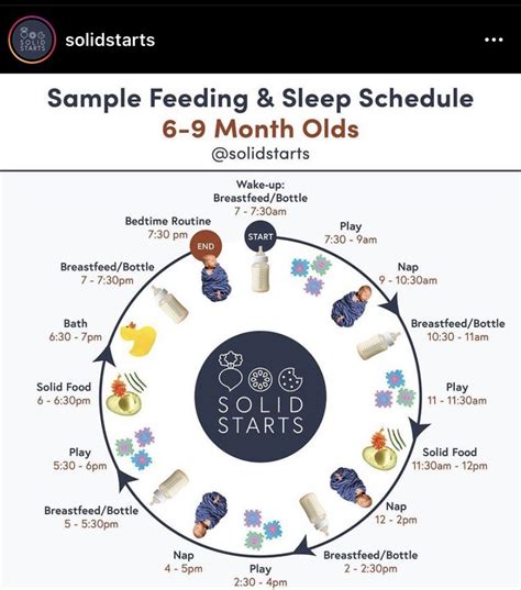 Baby feeding schedules by month from 6 to 24 months – Artofit