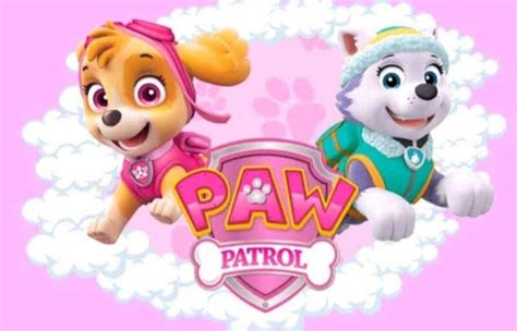 Pin by Caroline Daems on taart paw patrol | Paw patrol party, Paw ...