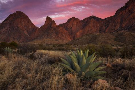 Fire on Chisos Mountain • Southwest • Julian Bunker Photography