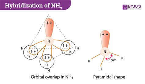 [DIAGRAM] Molecular Orbital Diagram Of Ammonia - MYDIAGRAM.ONLINE