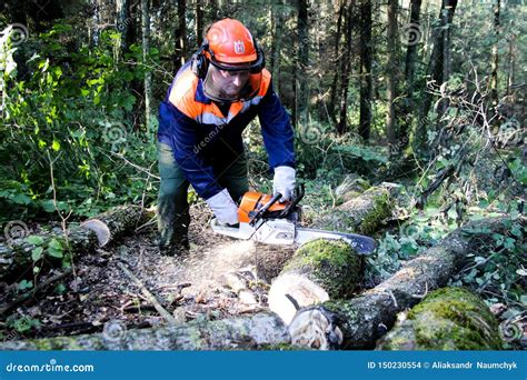 Lumberjack in Protective Safety Work Wear with Chainsaw at Forest ...