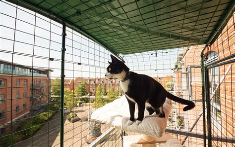 Cat Balcony Enclosure | The Ultimate Urban Cat Run | Omlet