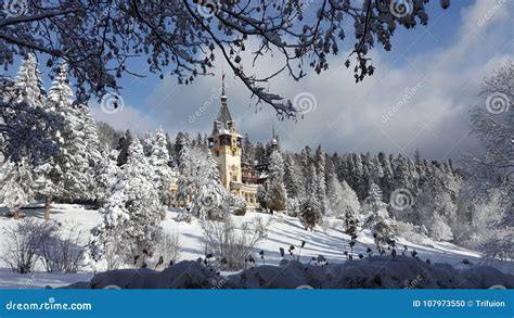 Peles Castle - Winter - Signs Stock Photo - Image of tree, landscape ...