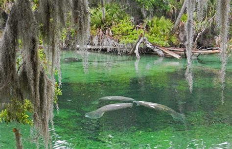 11 nature parks in Orlando: Adventure beyond the theme parks