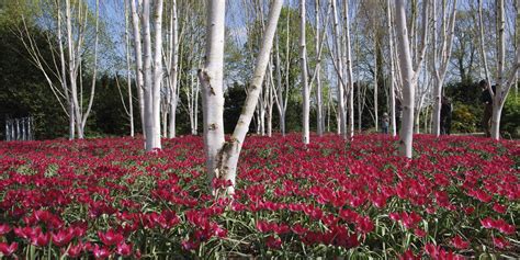 Anglesey Abbey, Gardens & Lode Mill | Great Days Out Around Cambridge