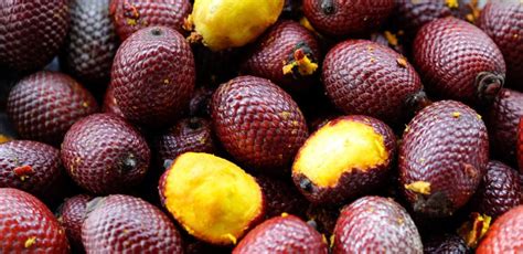 Science Roundup: What are the Health Benefits of Superfruits? - AMAYU