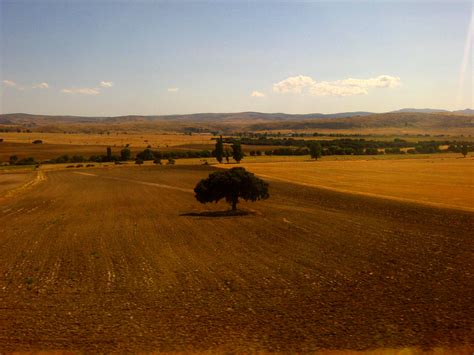 File:Meseta Central.jpg - Wikimedia Commons