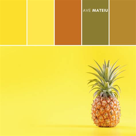 Color Palettes for Summer