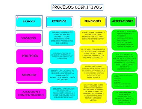 Procesos Cognitivos Básicos | Sue | uDocz