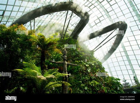 Cloud Forest - Singapore Stock Photo - Alamy