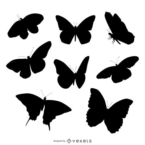 Butterfly Silhouette Illustration Set Vector Download