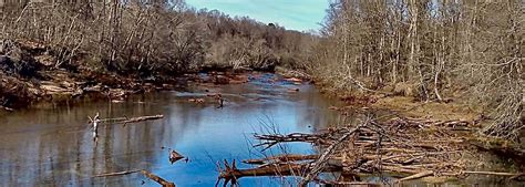 Chattahoochee River Fly Fishing | American Fly Fishermen