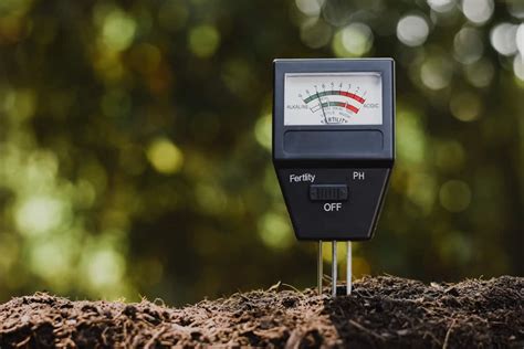 How to Test Your Soil PH and Why it is Important - Summit Turf Services