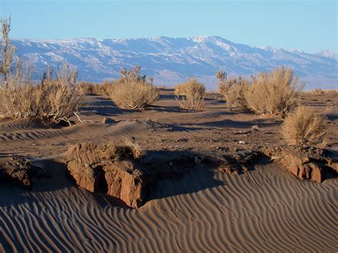 Gobi Desert Tour