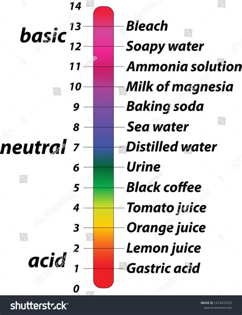 Ph Scale Example Labels Stock Illustration 1613472322 | Shutterstock