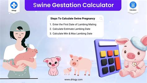 Sheep Pregnancy Calculator | Sheep Gestation Calculator - Drlogy