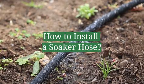 How to Install a Soaker Hose? - GardenProfy