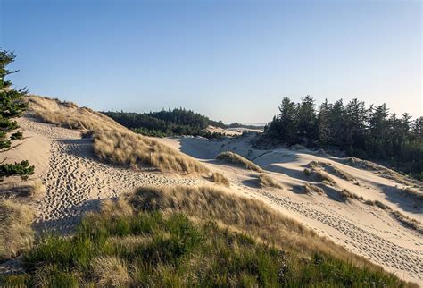 Top Trails for Easy Day Hikes on the Oregon Coast