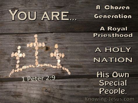 1 Peter 2:9 You Are A Chosen Generation, A Holy Nation, A Royal ...