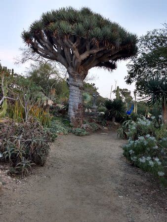 San Diego Botanic Garden (Encinitas) - All You Need to Know BEFORE You ...